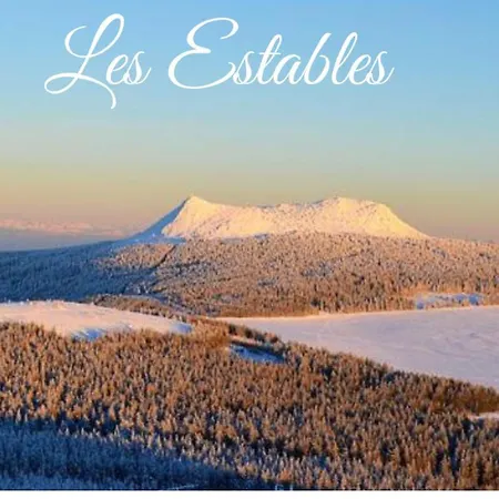 Independent F2 Pool Sauna Garden *